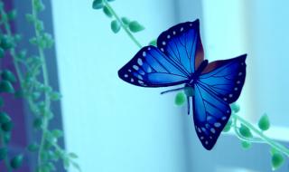 我喜欢吃你的花蜜