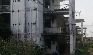 附近临时工500元一天 附近临时工500元一天